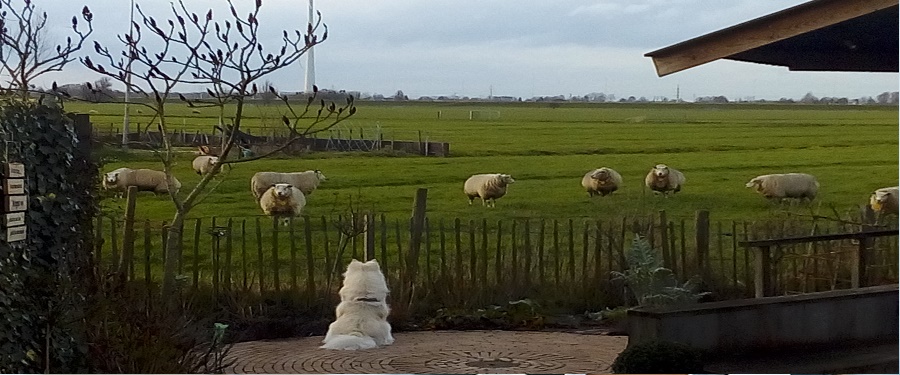 9 Aan tafel
