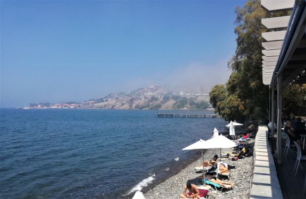 Olive_Beach