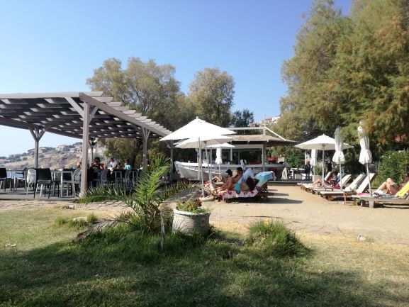 BeachBar-Olive_Press