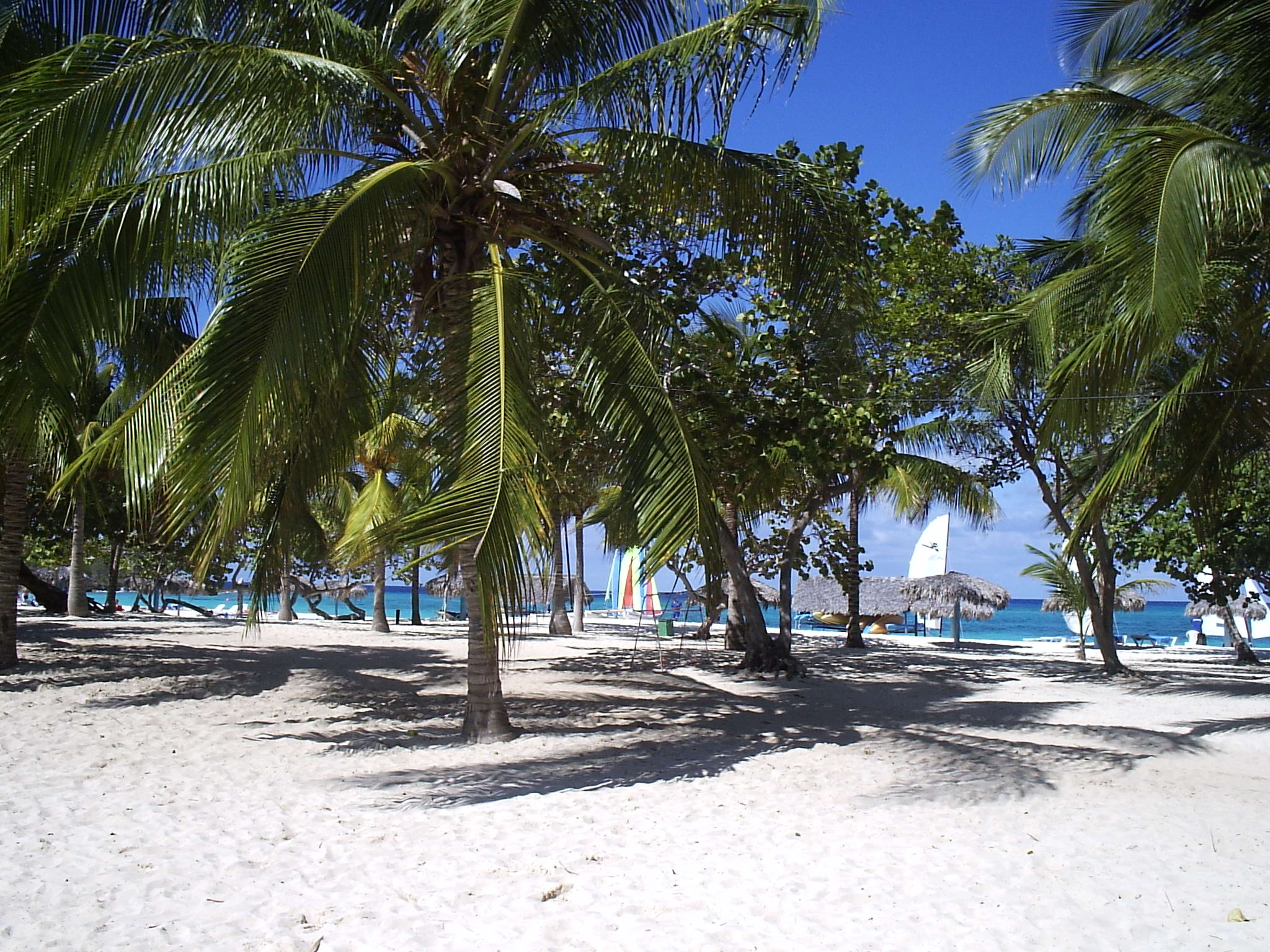 strand